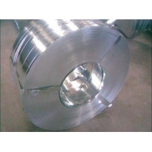 Hot Rolled Stainless Steel Coil (304/NO. 1)